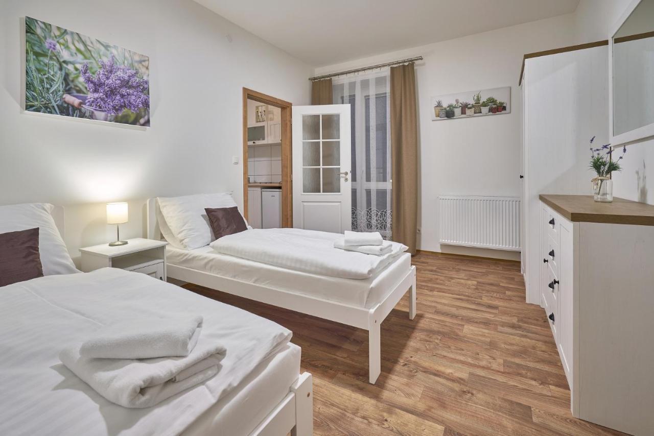 Pension Varta Janské Lázně Esterno foto
